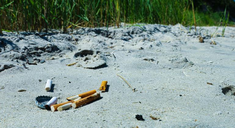 L’impact désastreux de l’industrie du tabac sur l’environnement (OMS)